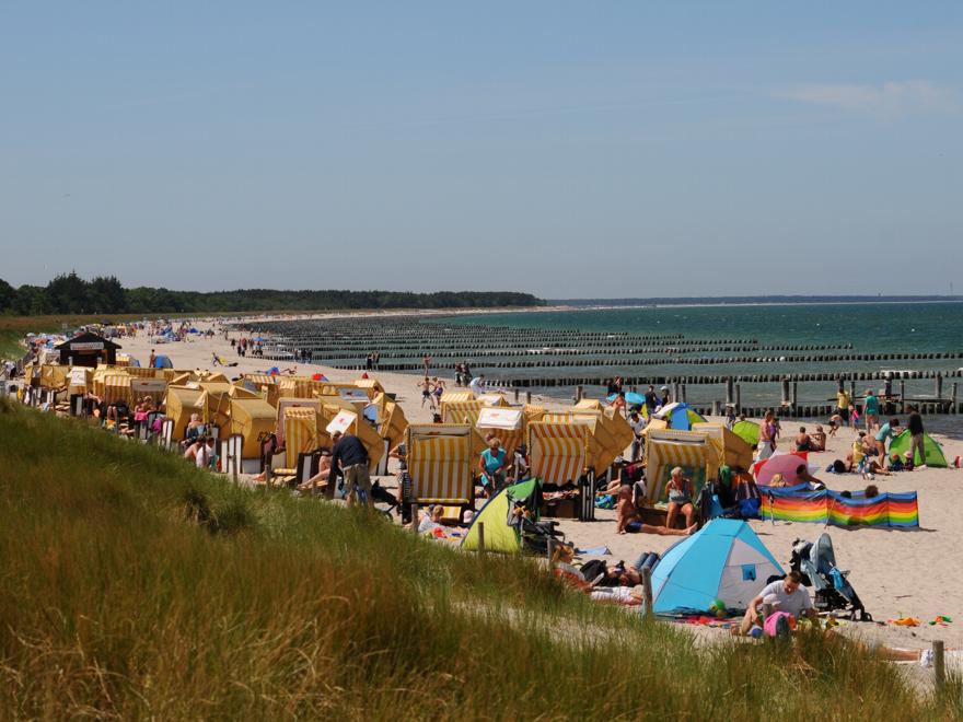 Strandblick in Richtung Prerow